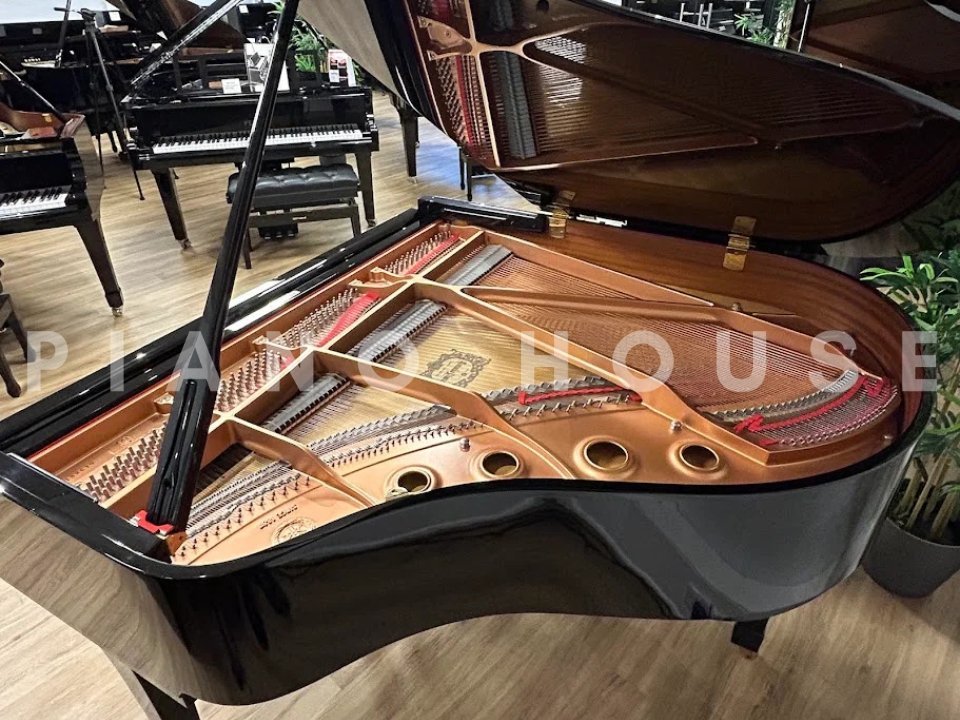 YAMAHA C1 PE (USED) - Ảnh thực tế 3